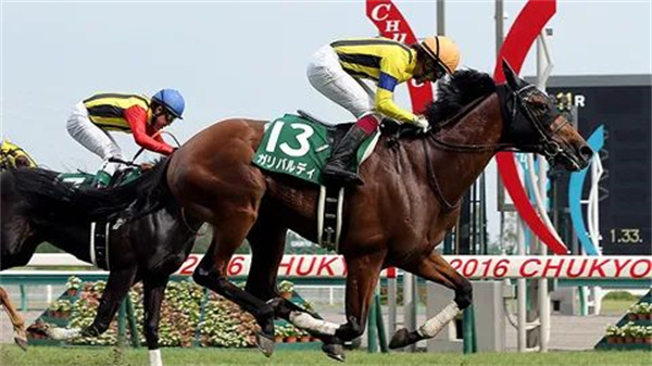 “大震撼”子嗣南半球备受追捧!和力马业有唯一中国马主联盟认证“大震撼”种公马后代 大陆赛马网 (3).jpg