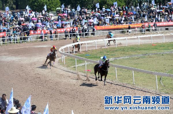 （体育）（3）大理三月街民族节赛马大会开赛