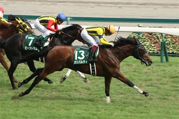 “大震撼”子嗣南半球备受追捧!和力马业有唯一中国马主联盟认证“大震撼”种公马后代 大陆赛马网 (5).jpg